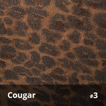 Cougar 3